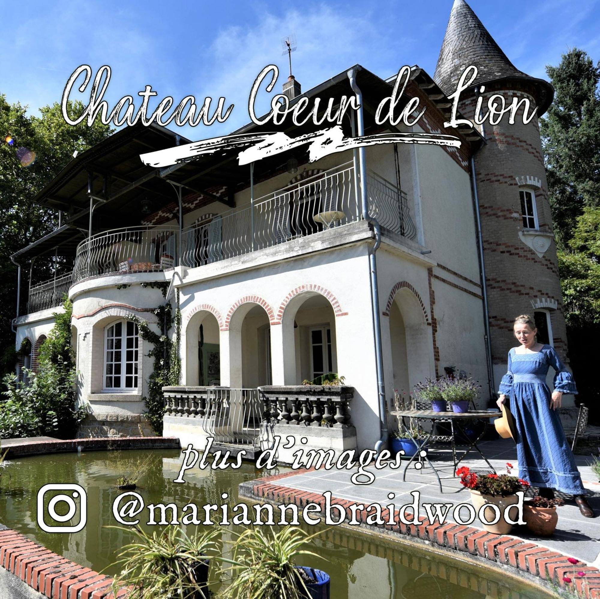 Chateau Coeur De Lion Chateauponsac Bagian luar foto